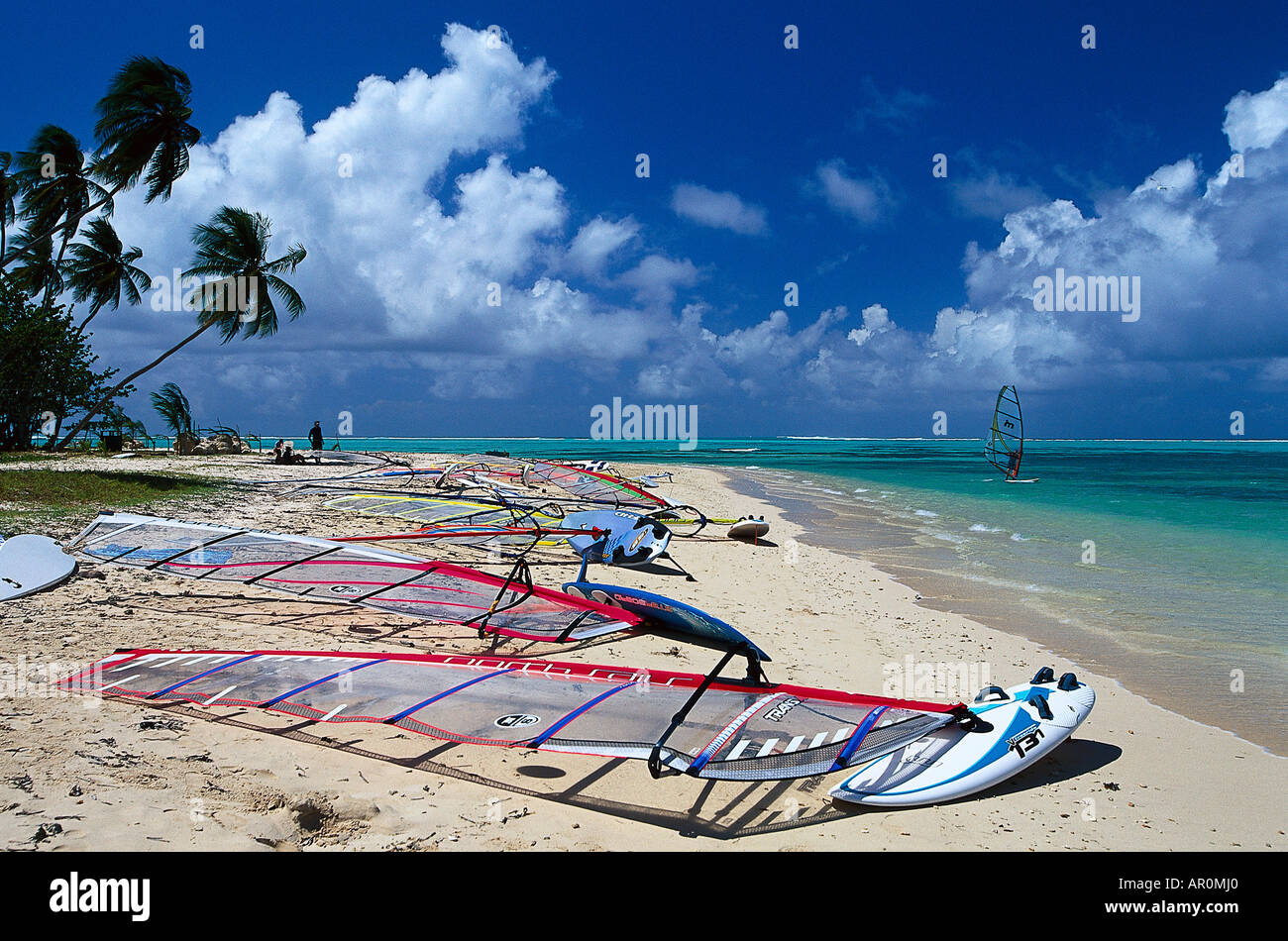 Palmenstrand, Kokospalmen, Windsurf, Pigeon Point Tobago, West Indies, Karibik Foto Stock