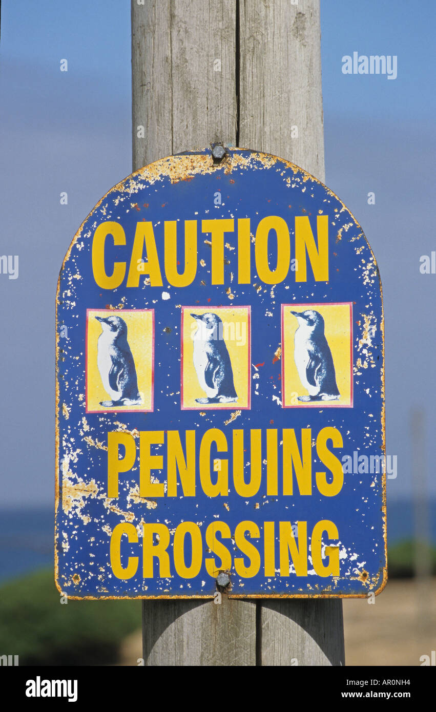 Penguins Crossing, segno, Tasmania, Australien, Australia, Tasmanien, cartello stradale attenzione che i pinguini hanno diritto di modo Strassens Foto Stock