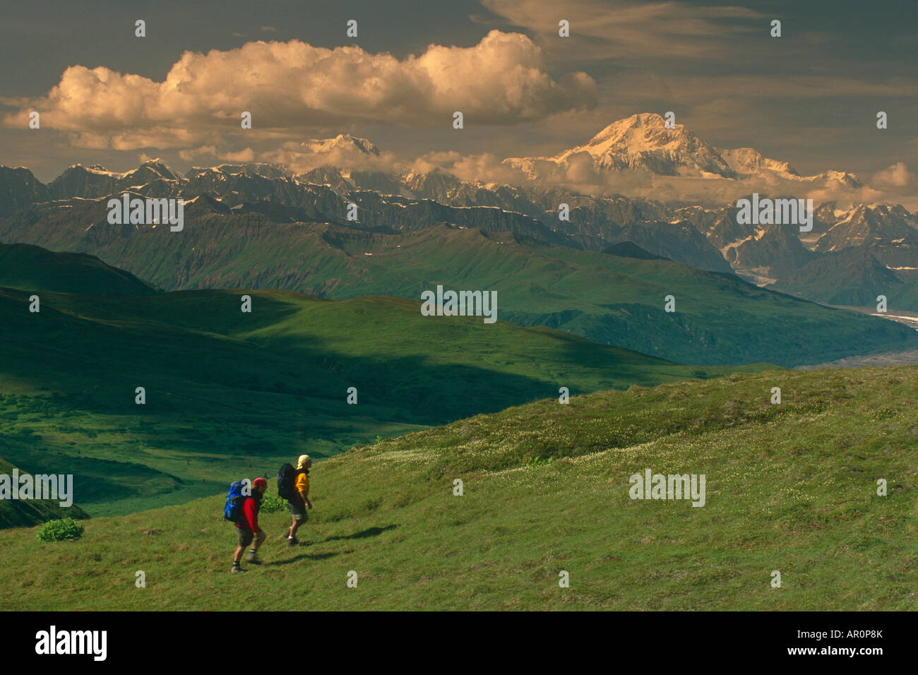 Gli escursionisti sulla Tundra in stato di Denali Park SC Alaska Estate w/Mt McKinley sfondo Foto Stock