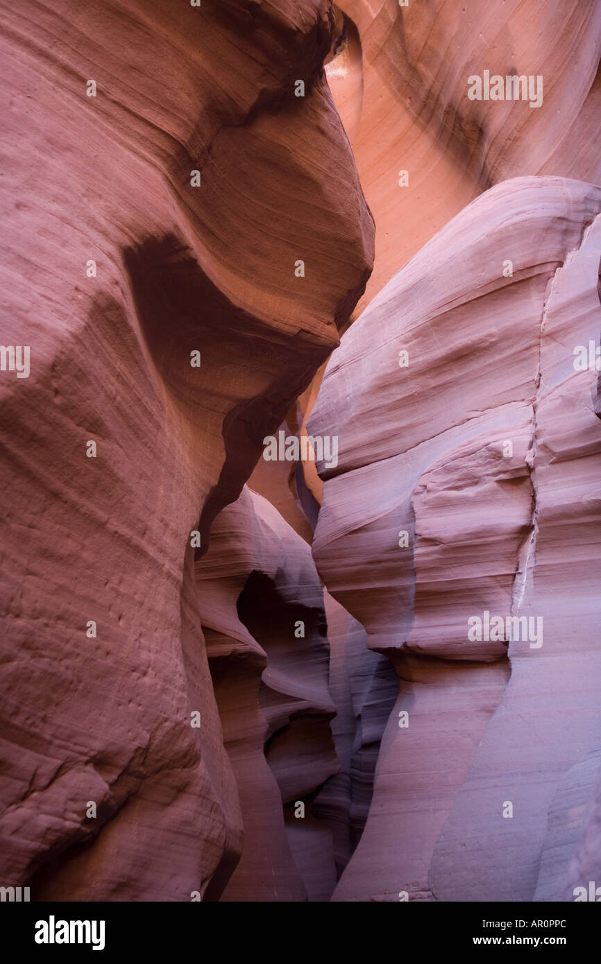 Interni in pietra arenaria della tomaia Antelope Canyon, Navajo Nation Reservation, Arizona, Stati Uniti d'America Foto Stock