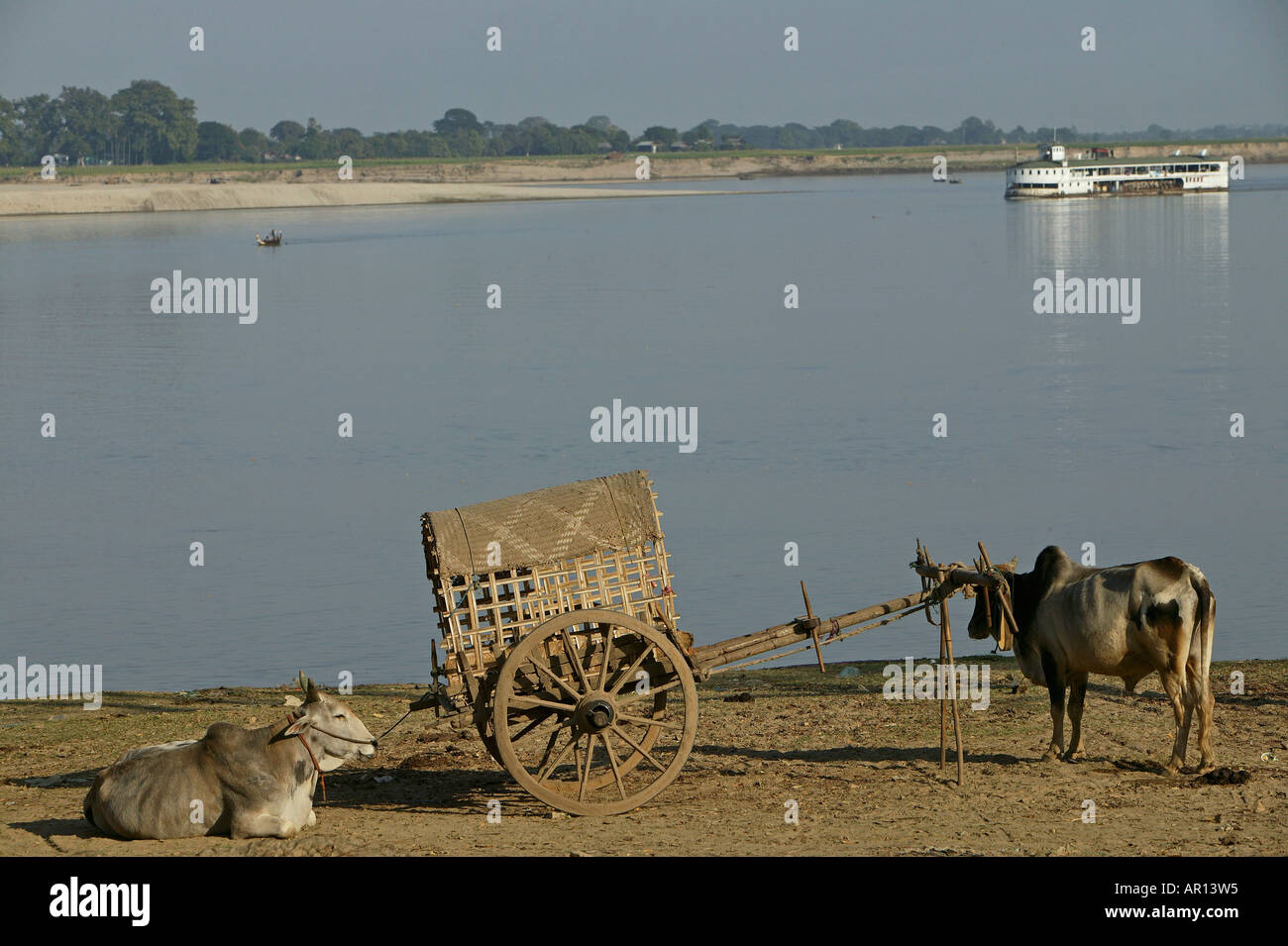 Ox e carrello, Irrawaddy, Mingun, Ochsengezogener Wagen, Ochsenkarre, Ayeyarwady, Ochsenkarren, Mandalay Foto Stock