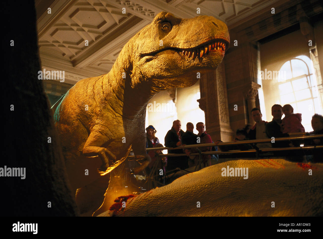 Museo di Storia Naturale, mostra Dinosauri London, Regno Unito Foto Stock