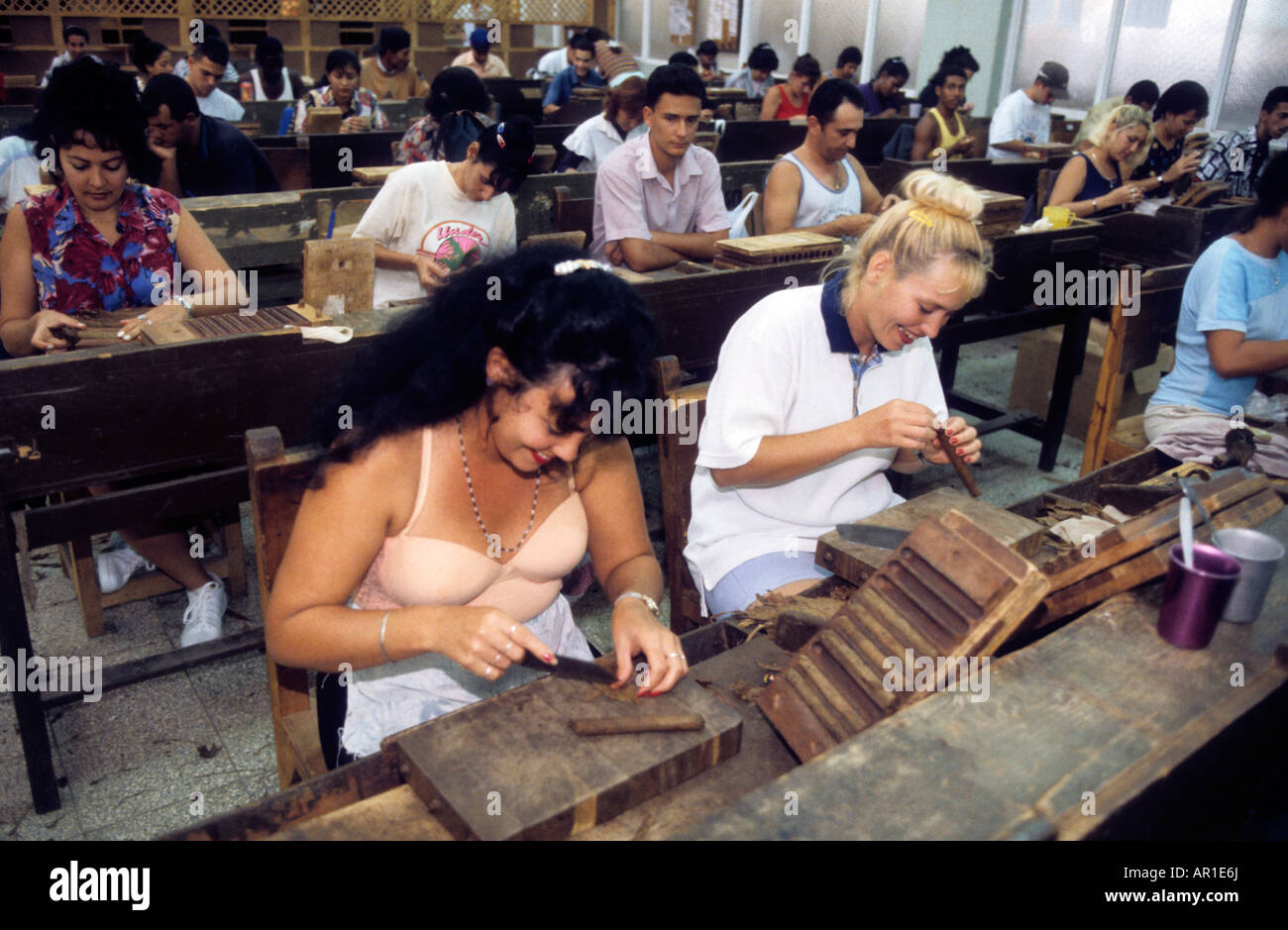 Caraibi Cuba havana la fabbrica di partagas camera con gente locale rendendo i sigari Foto Stock
