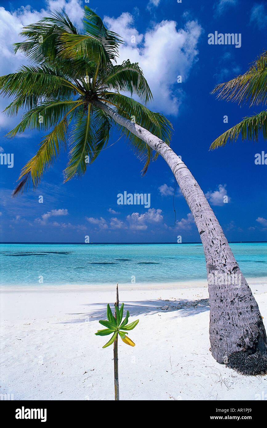 Spiaggia, Four Seasons Resort, Kuda Hurra Maledive Isola Foto Stock