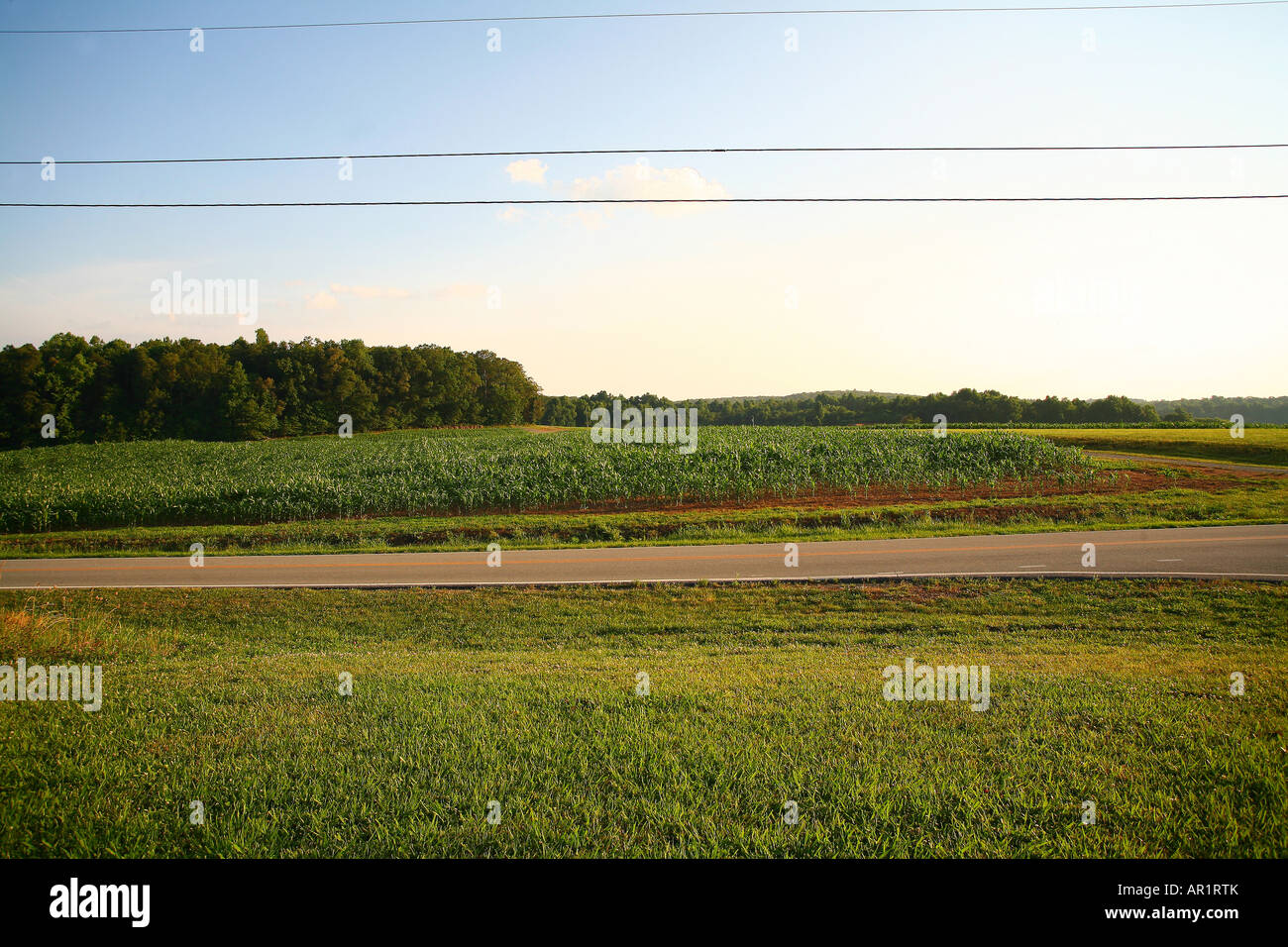 Un paese deserta road Foto Stock