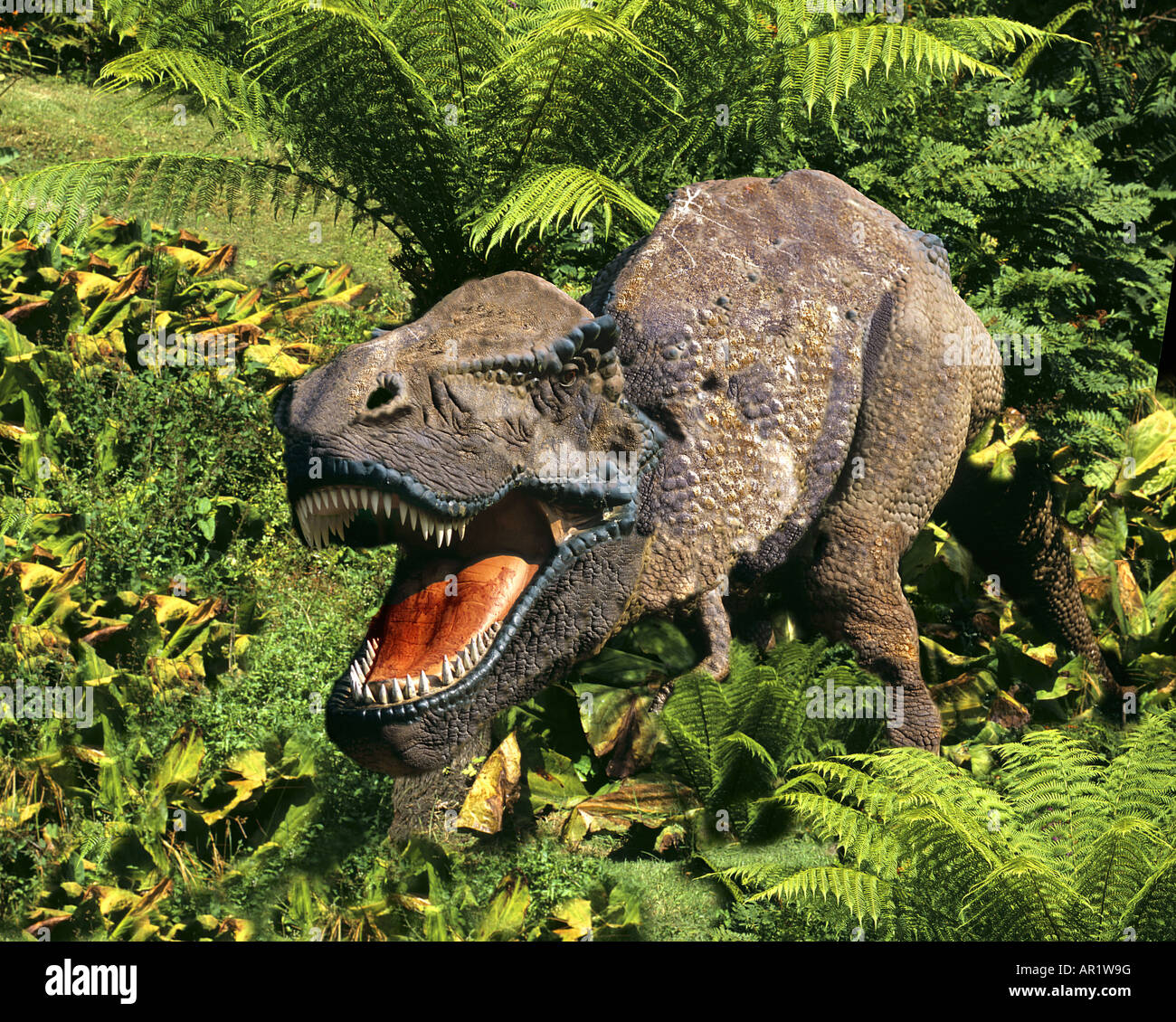 Tyrannosaurus rex. La ricostruzione tra le felci arboree Foto Stock