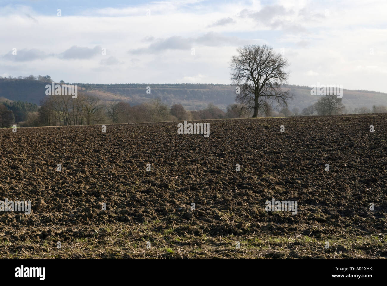 Un campo arato in Shropshire, Regno Unito Foto Stock