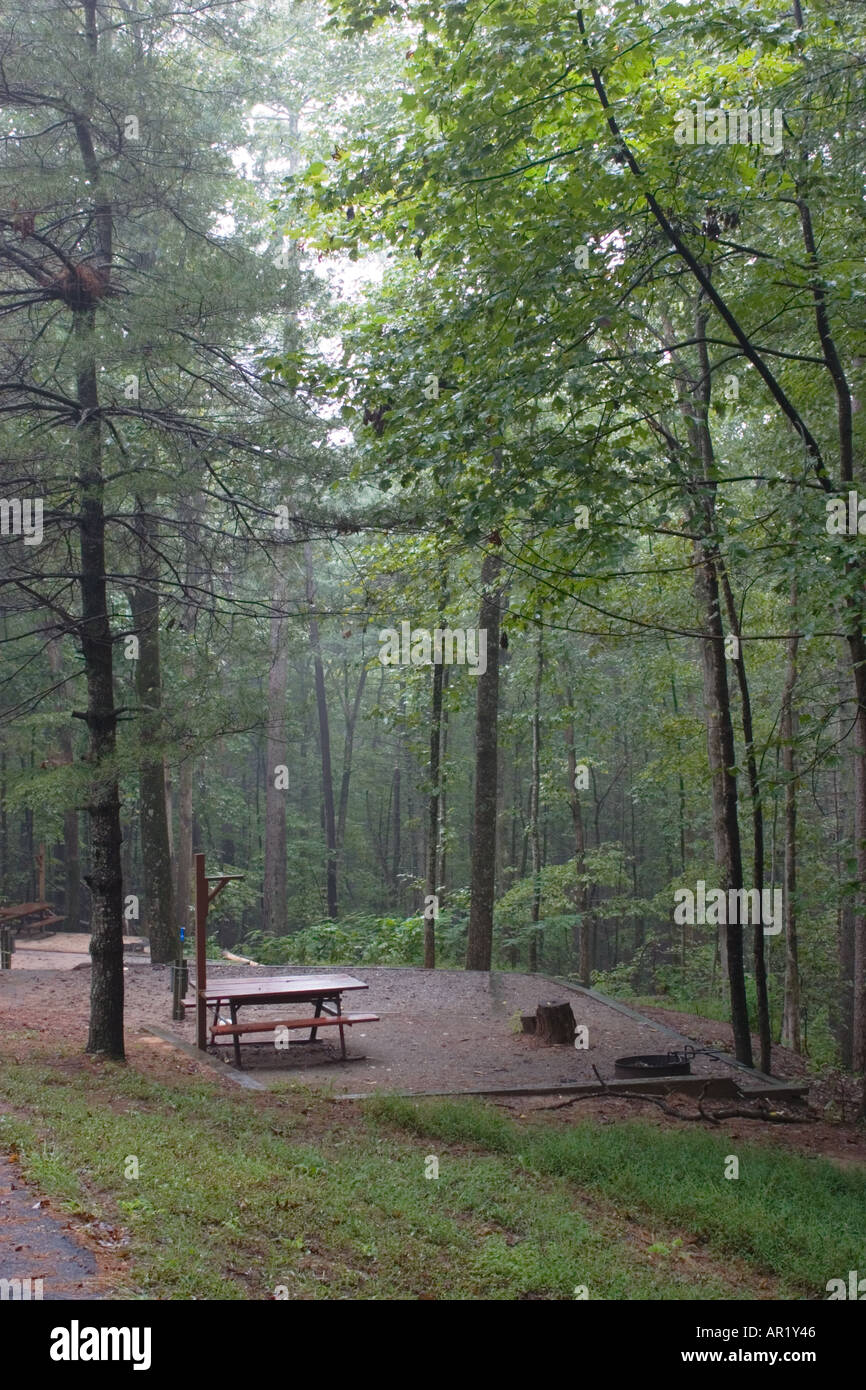 Tipico campeggio con anello antincendio e tavolo da picnic avvolto dalla nebbia all'Unicoi State Park, nella Georgia settentrionale, USA Foto Stock