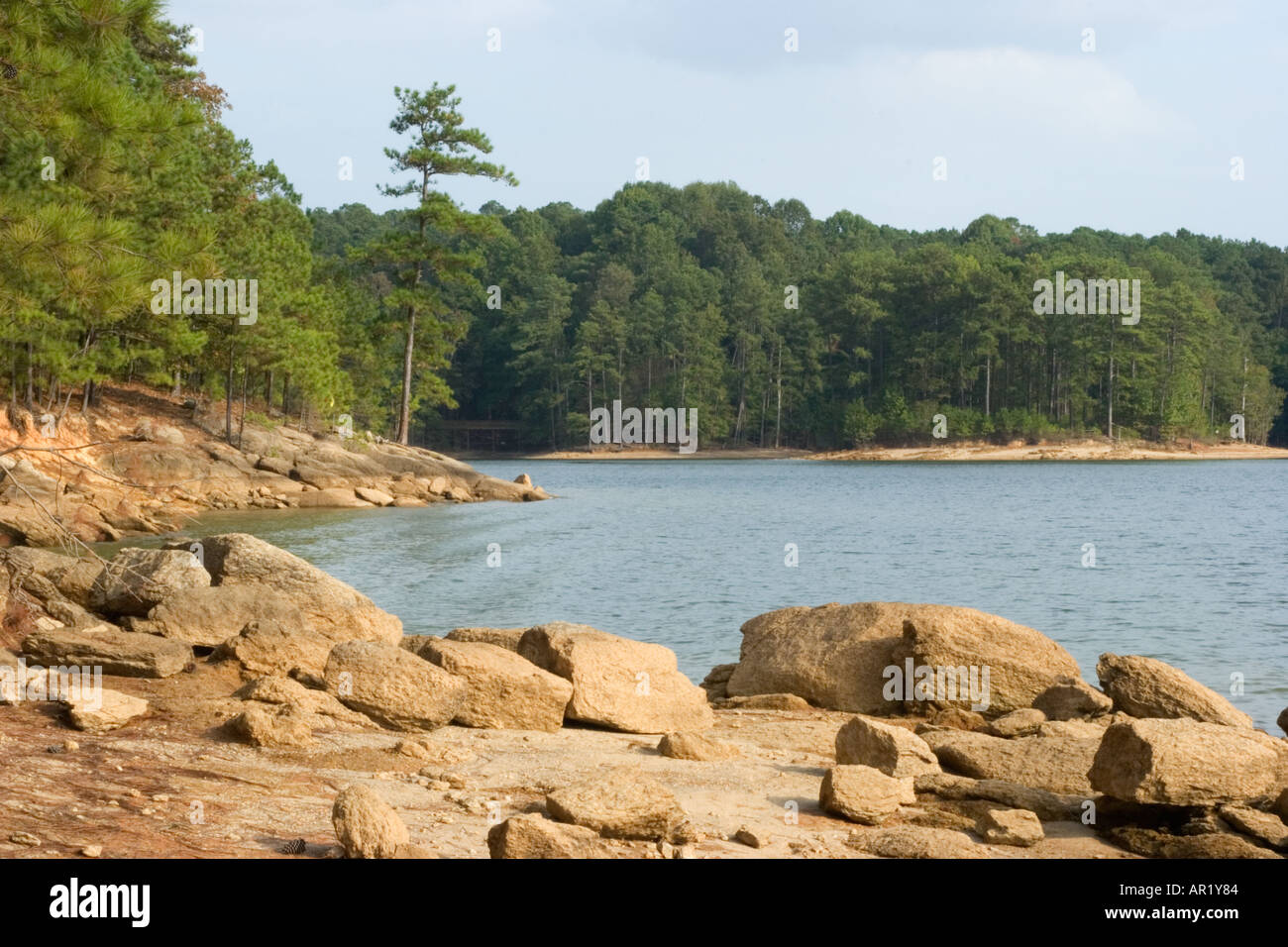 Costa rocciosa del Lago Allatoona al Red Top Mountain State Park, Georgia, Stati Uniti d'America Foto Stock