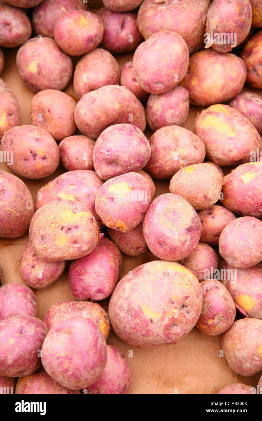 rosse con patate Foto Stock