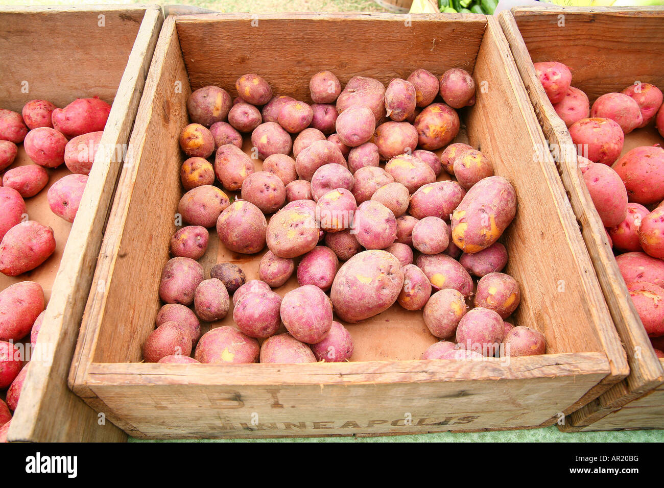 Cestini di patate rosse Foto Stock