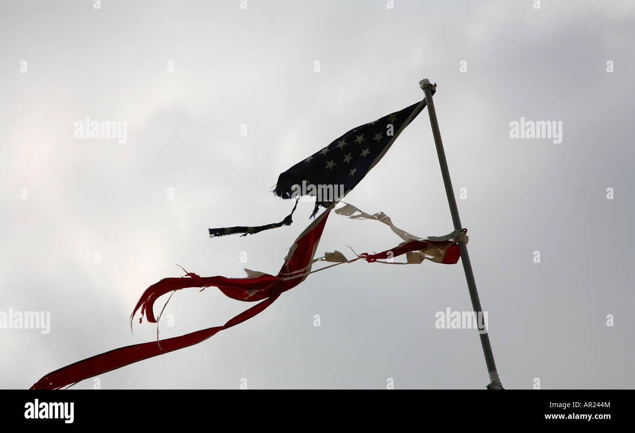 Un strappata bandiera americana sventolare nel vento Foto Stock