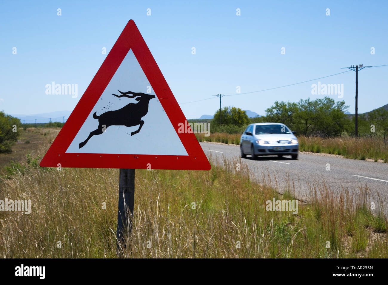 Cartello stradale grande Karoo Sud Africa Foto Stock