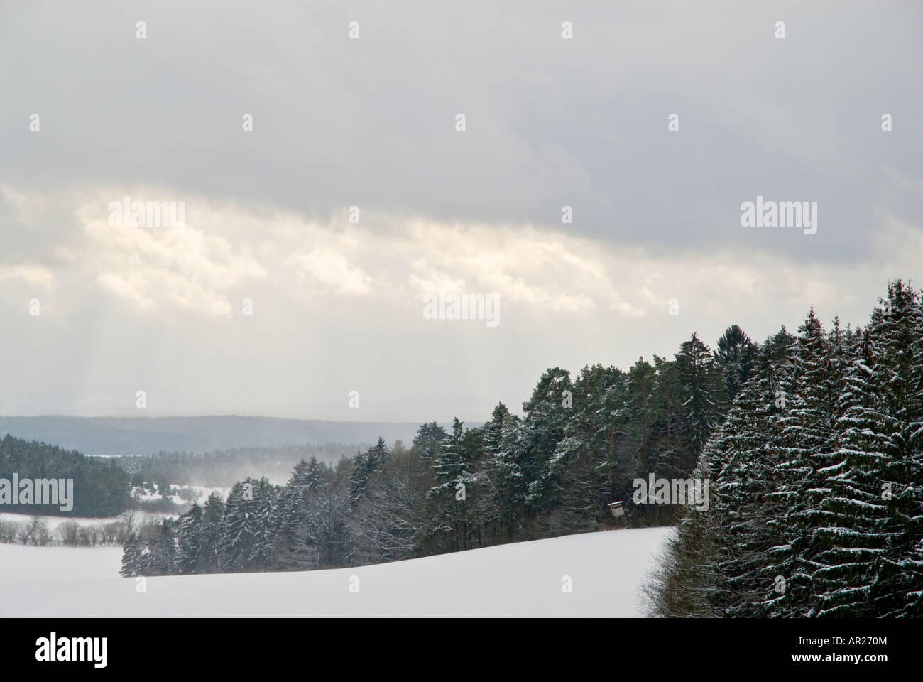 Neve coperto campo di fattoria e la foresta in inverno, Oberpfalz - Baviera, Germania Foto Stock