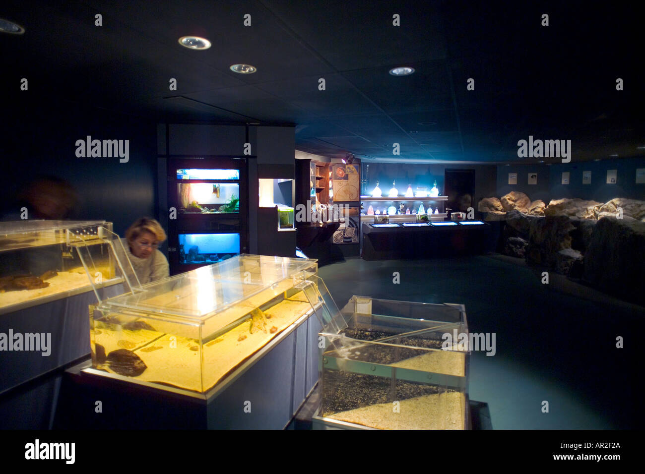 Acquario marino, Saint-Malo, Bretagna, Francia, Europa Foto Stock