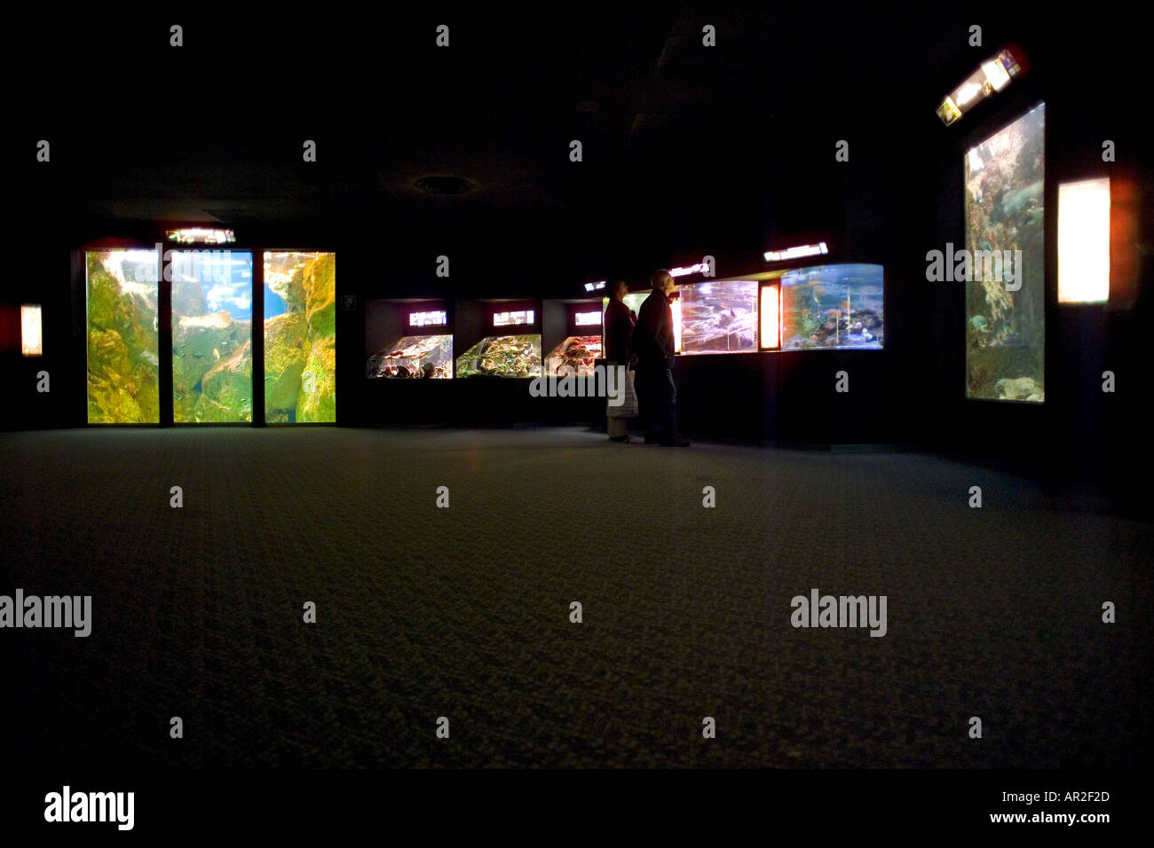 Acquario marino, Saint-Malo, Brittany, Francia Foto Stock