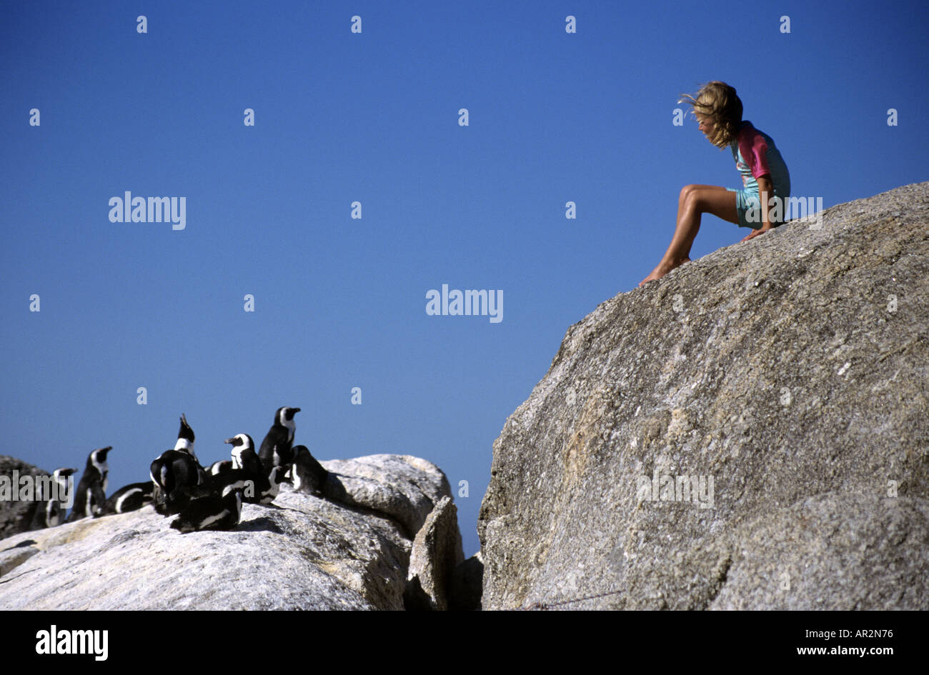 Bambino sul boulder guardando verso il basso sui pinguini africani, Boulders Beach, vicino a Città del Capo, Western Cape, Sud Africa. Foto Stock