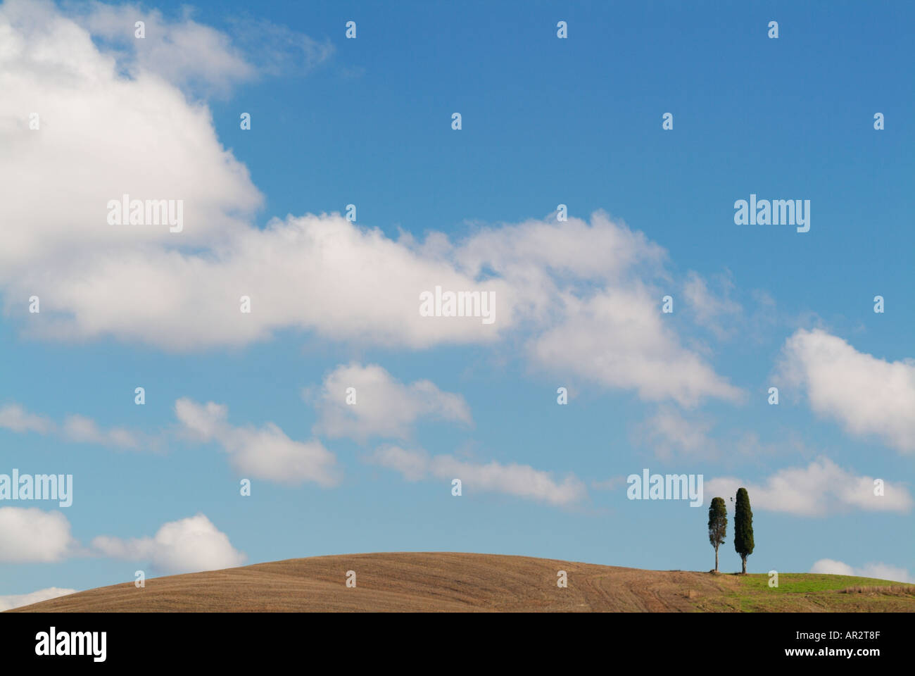 Val d Orcia tipico due cipressi paesaggio nei pressi di San Quirico d'Orcia Toscana Italia Europa UE Foto Stock