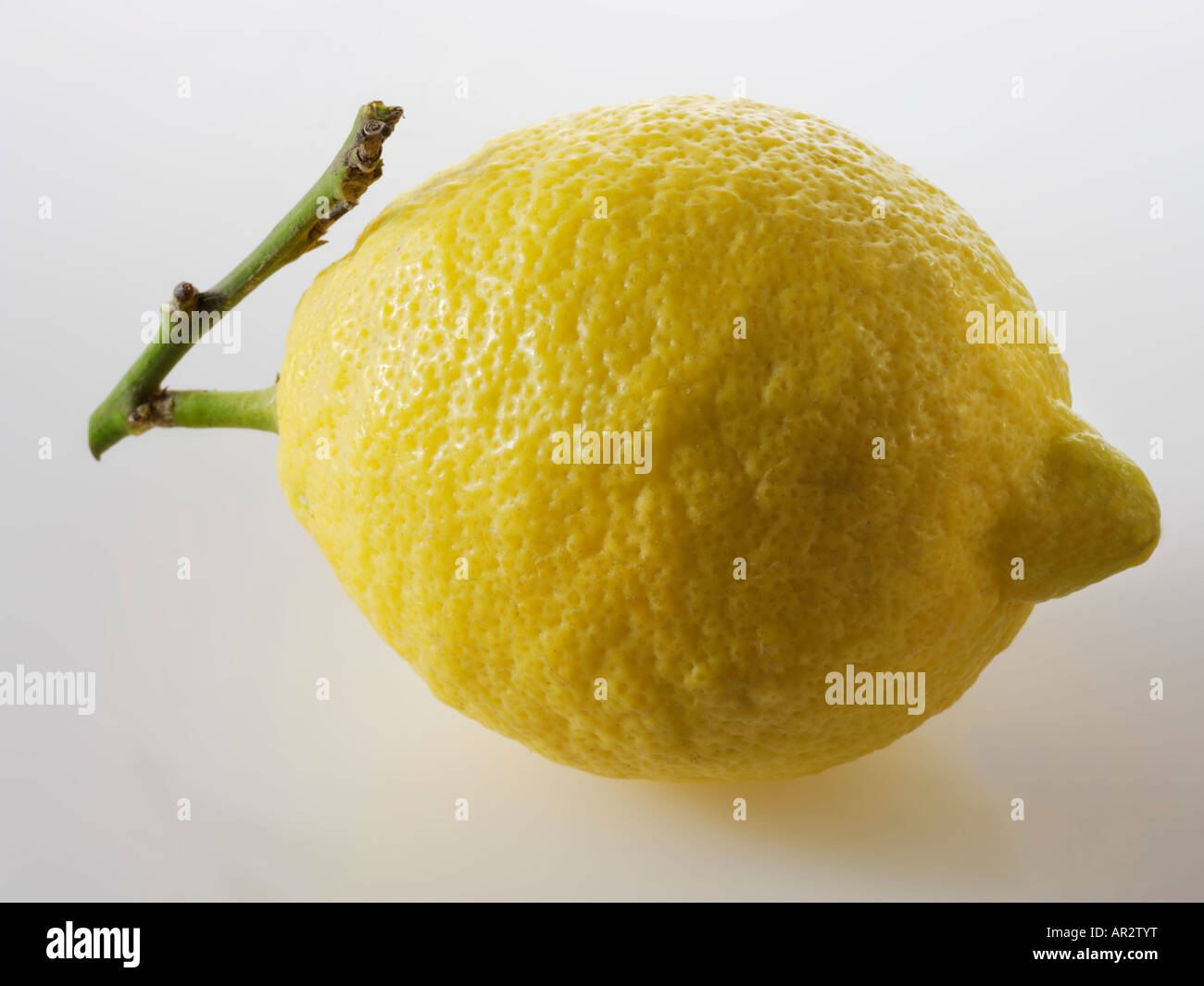 Tutto intonso limone organico Foto Stock