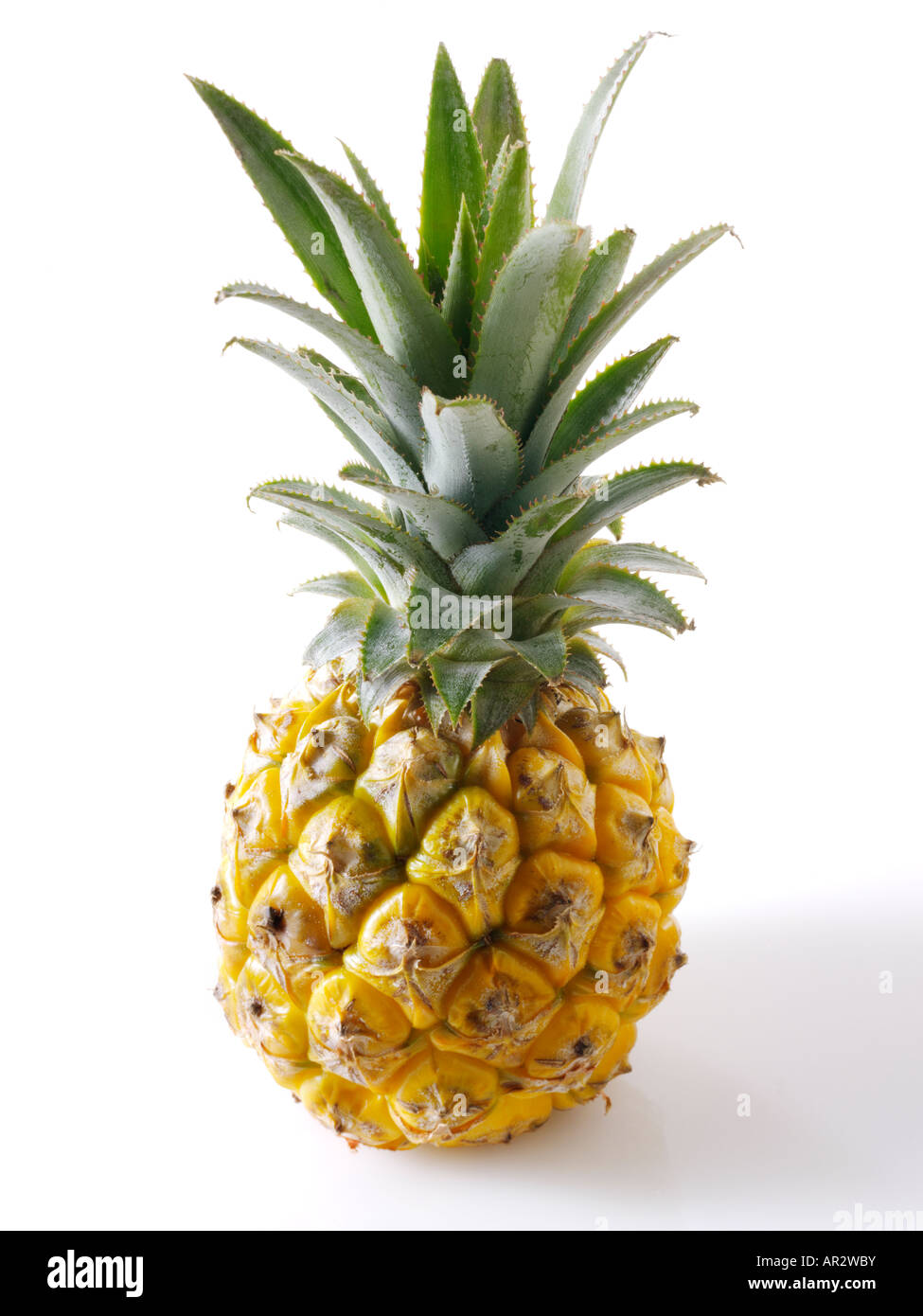 Ananas organico intonso con foglie Foto Stock