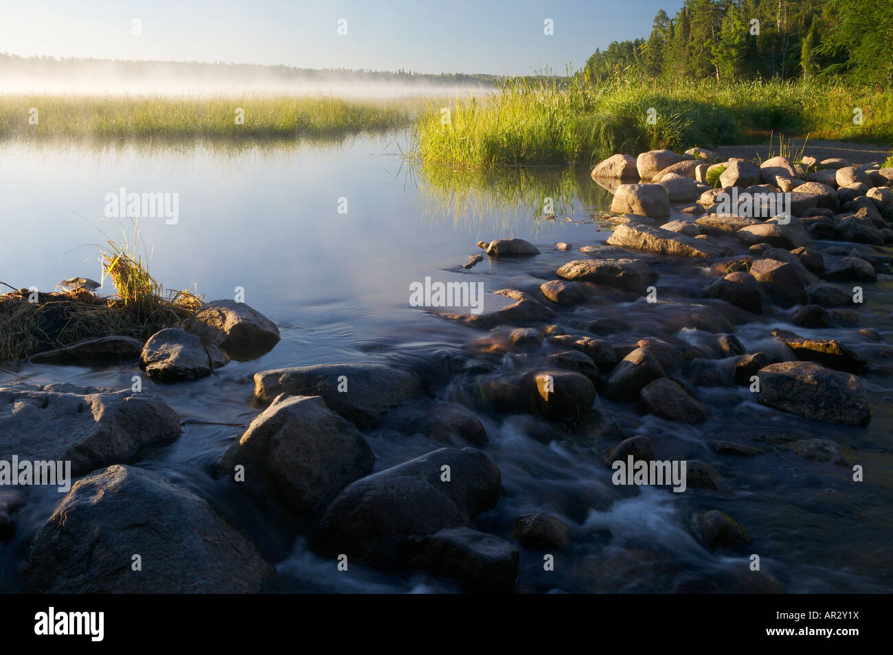 Sorgenti del fiume Mississippi, Lago Itaska, Itaska State Park, Minnesota, Stati Uniti d'America Foto Stock