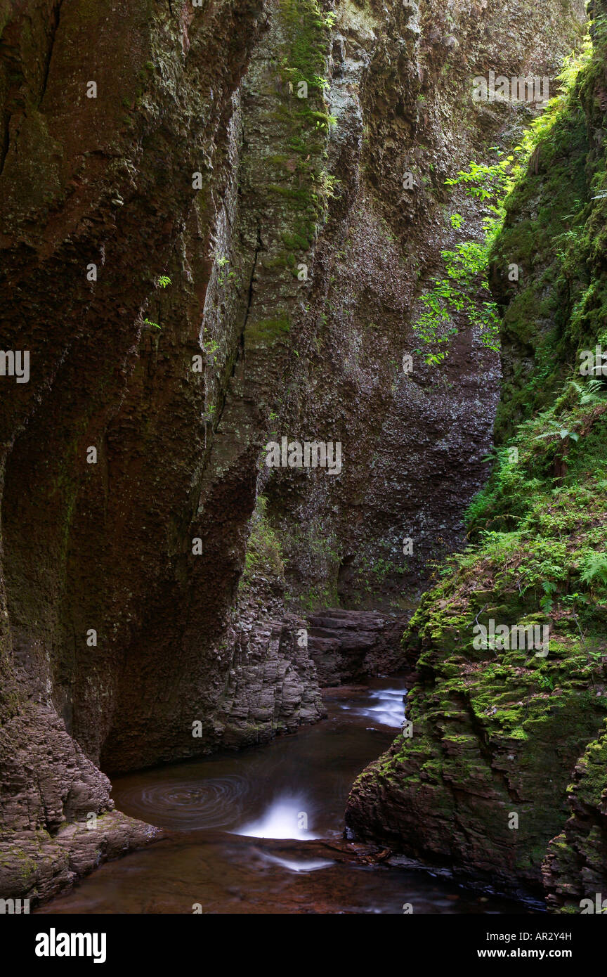 Kadunce River Gorge, Minnesota, Stati Uniti d'America Foto Stock