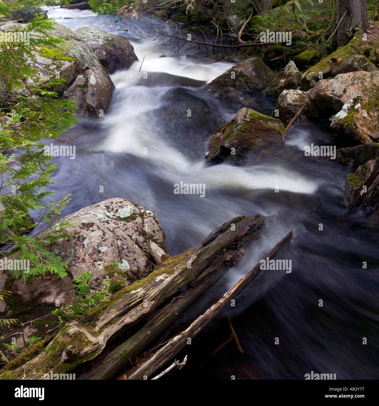 Flowage in Winchell lago, in acque di confine canoa Area Wilderness, Superior National Forest, Minnesota, Stati Uniti d'America Foto Stock