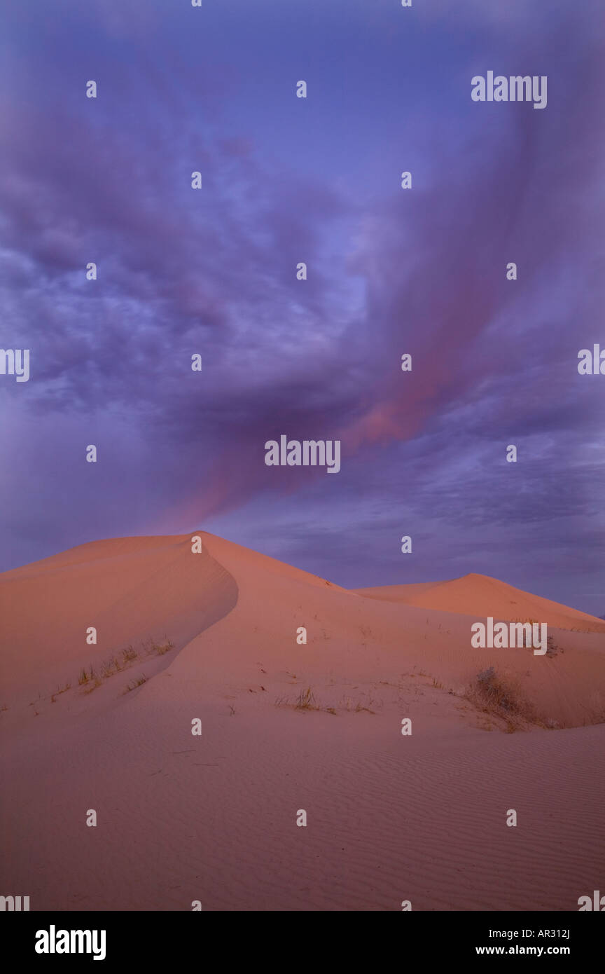 Imperial dune di sabbia, Nord Algodones deserto, California USA Foto Stock