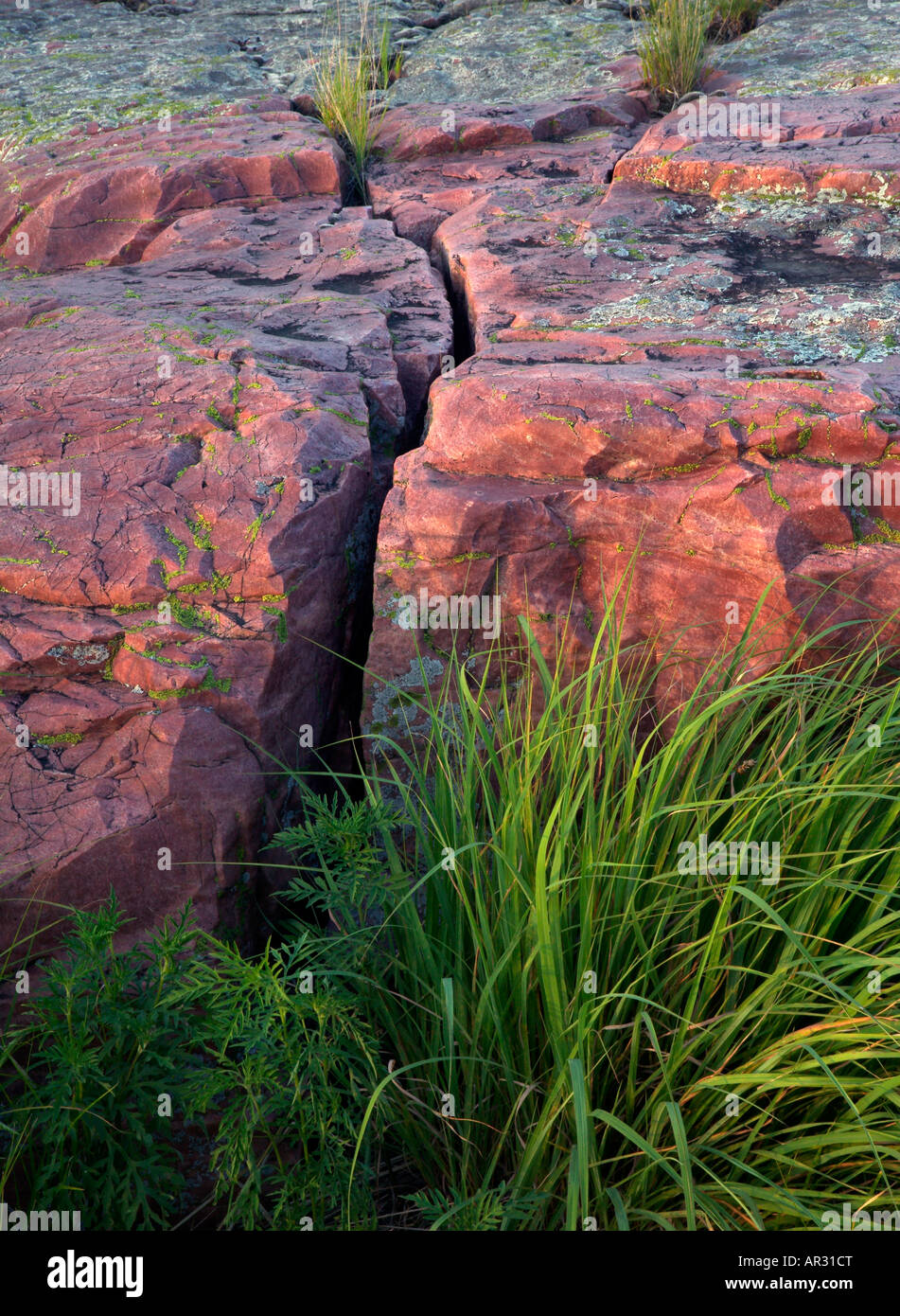 Sioux quarzite affioranti, Gitchie Manitou membro preservare, Iowa USA Foto Stock