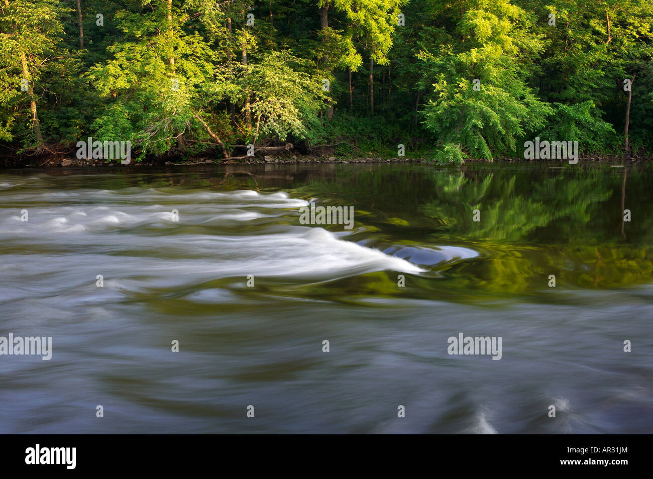Il fiume di cedro, molla parco vicino Osage, Mitchell County, Iowa USA Foto Stock