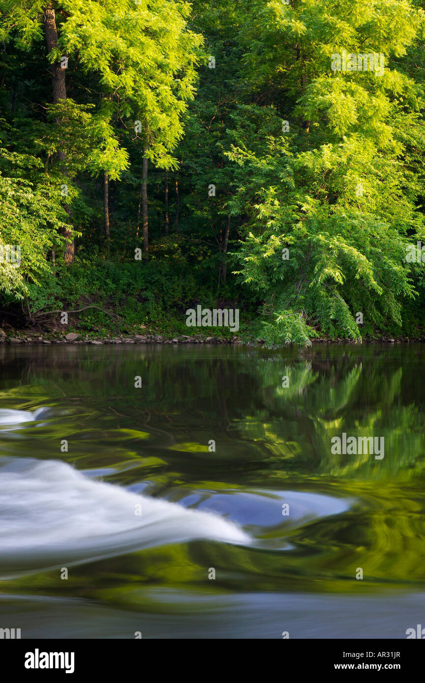 Il fiume di cedro, molla parco vicino Osage, Mitchell County, Iowa USA Foto Stock