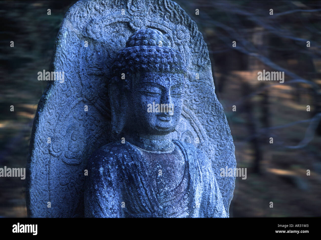 Statua del Buddha sulla Montagna di Namsan, Gyeongju, Kyongju, Gyeongju, Corea del Sud Asia Foto Stock