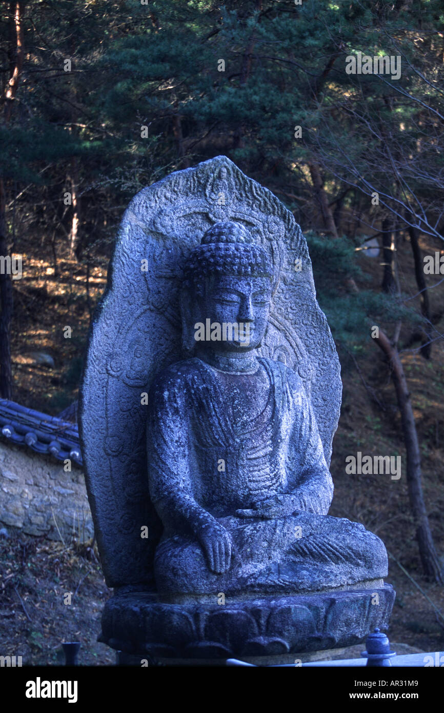 Statua del Buddha sulla Montagna di Namsan, Geongju Kyongju, Geongju, Corea del Sud Asia Foto Stock