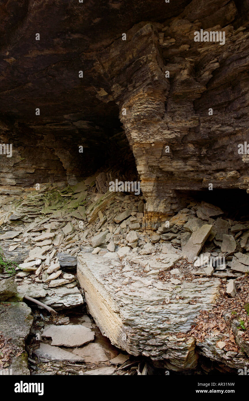 Parete di roccia calcarea del canyon, Iowa USA Foto Stock