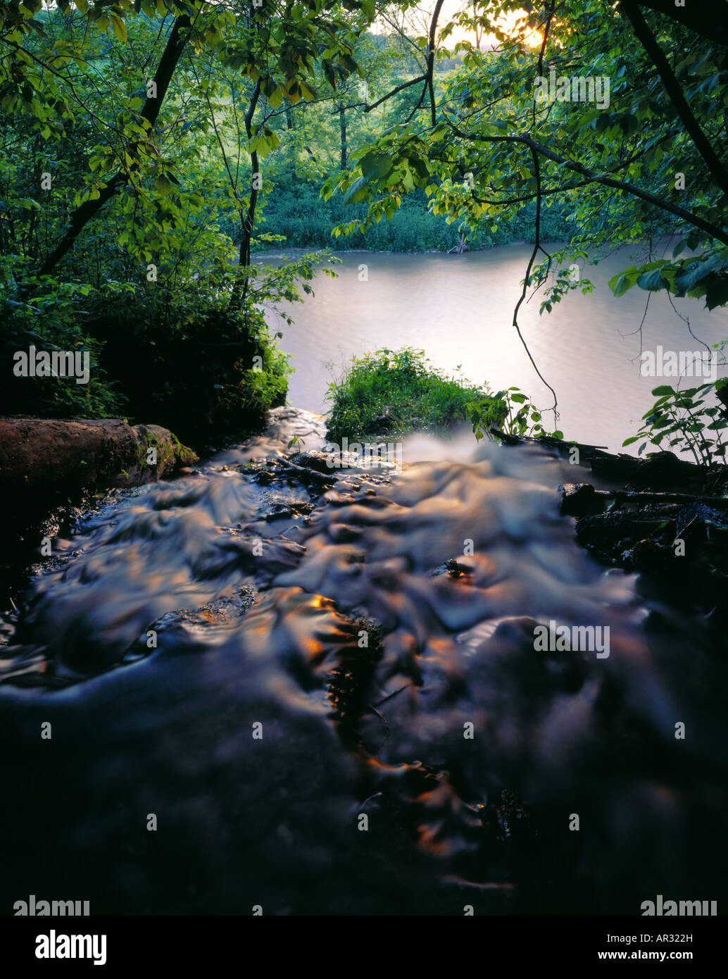 Malanaphy Molle ad essa fluisce nella parte superiore del Fiume Iowa, molle Malanaphy membro preservare, Winneshiek County, Iowa USA Foto Stock