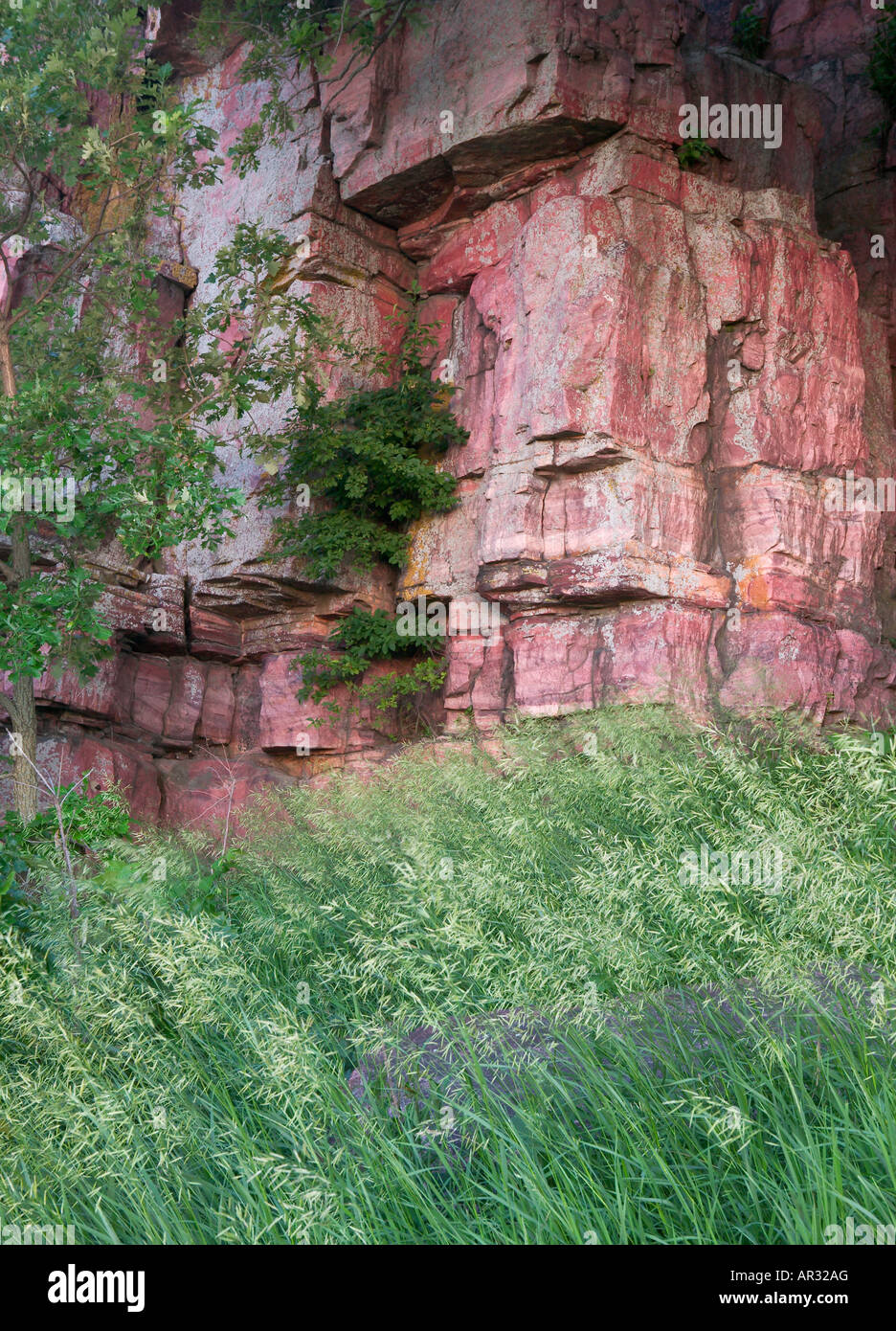 Sioux quarzite affioranti, Blu Mounds State Park, Minnesota, Stati Uniti d'America Foto Stock