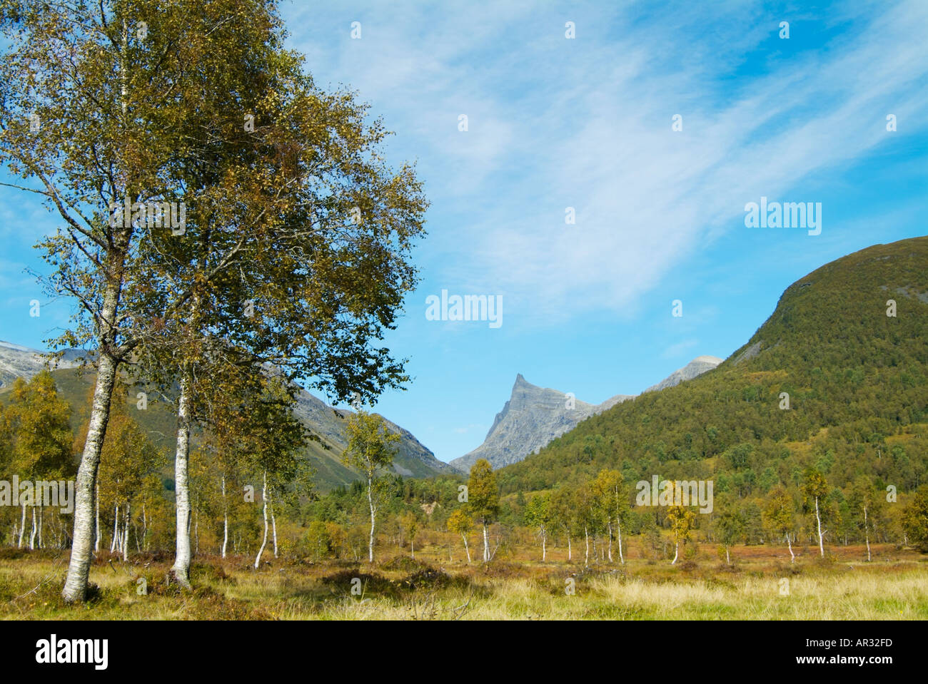 Hordindalsrokken è una montagna 1529m nella valle Hornindal More og Romsdal Norvegia occidentale Europa Foto Stock
