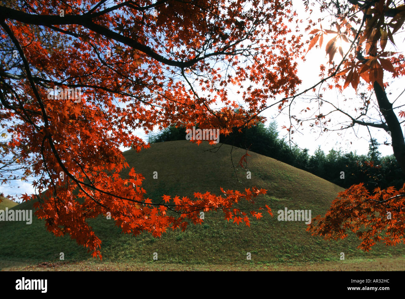 Tombe reali in Tumuli Park, Geongju Kyongju, Geongju, Corea del Sud Asia Foto Stock
