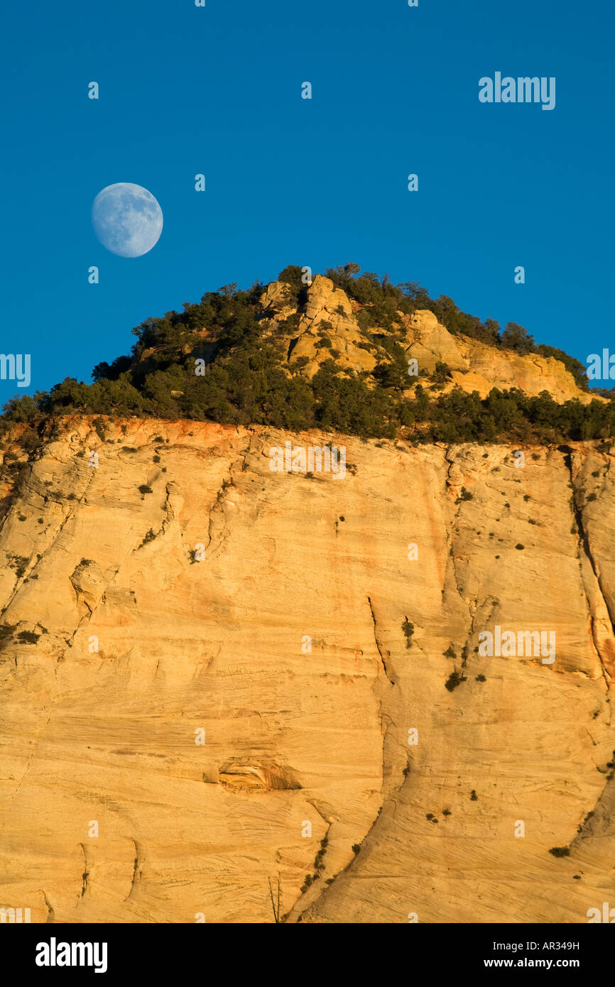 Luna piena sopra Checkboard Mesa Zion National Park nello Utah Foto Stock