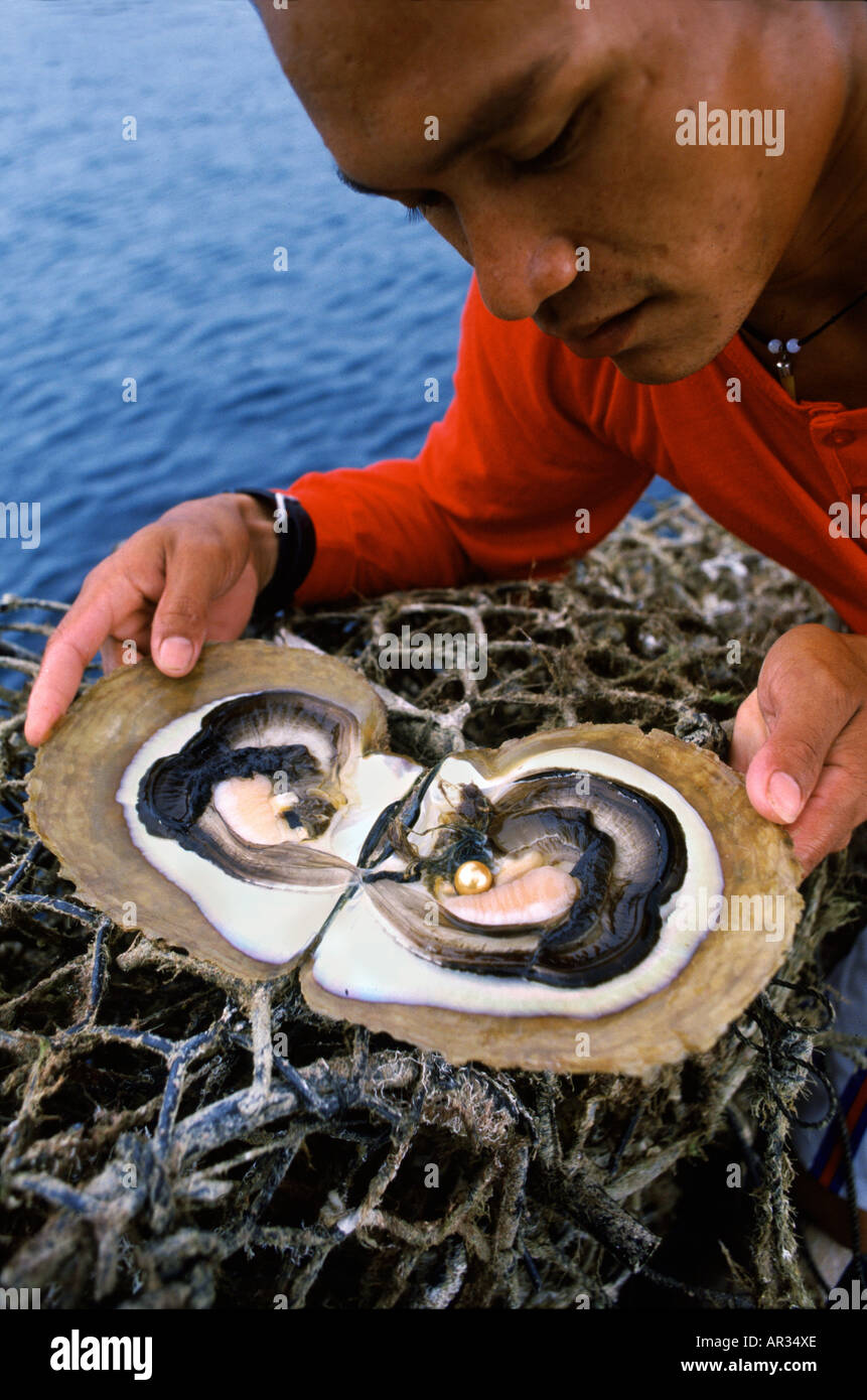 Pearl Diver tenendo aperto ostrica con perla, isola di Palawan, Filippine, Asia Foto Stock