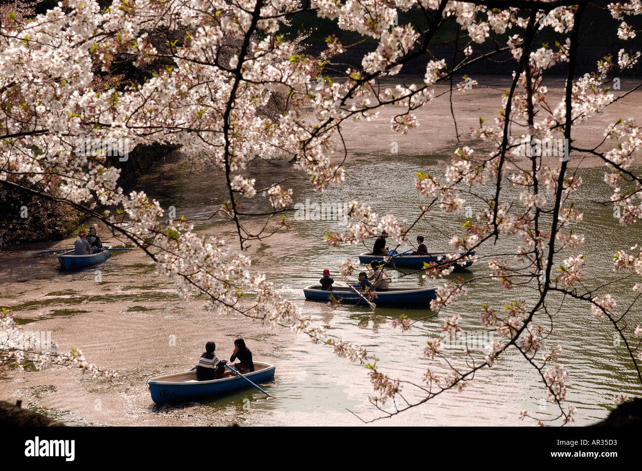 People enjoy boating on the Imperial Palace Moat during cherry blossom season in Tokyo Japan Foto Stock