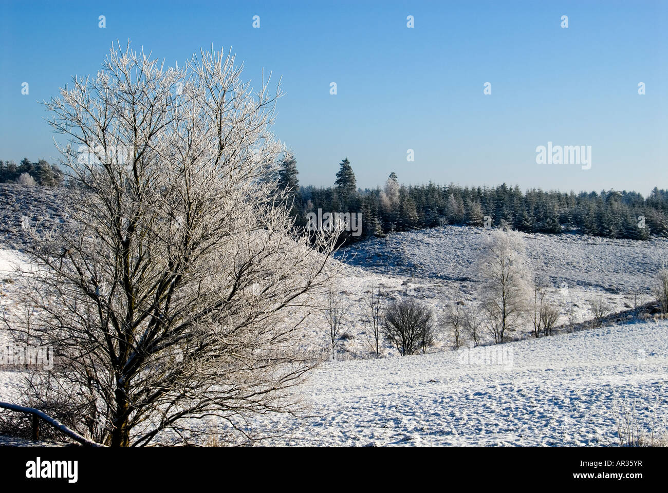 Paesaggio invernale con copertura di ghiaccio e rime Foto Stock