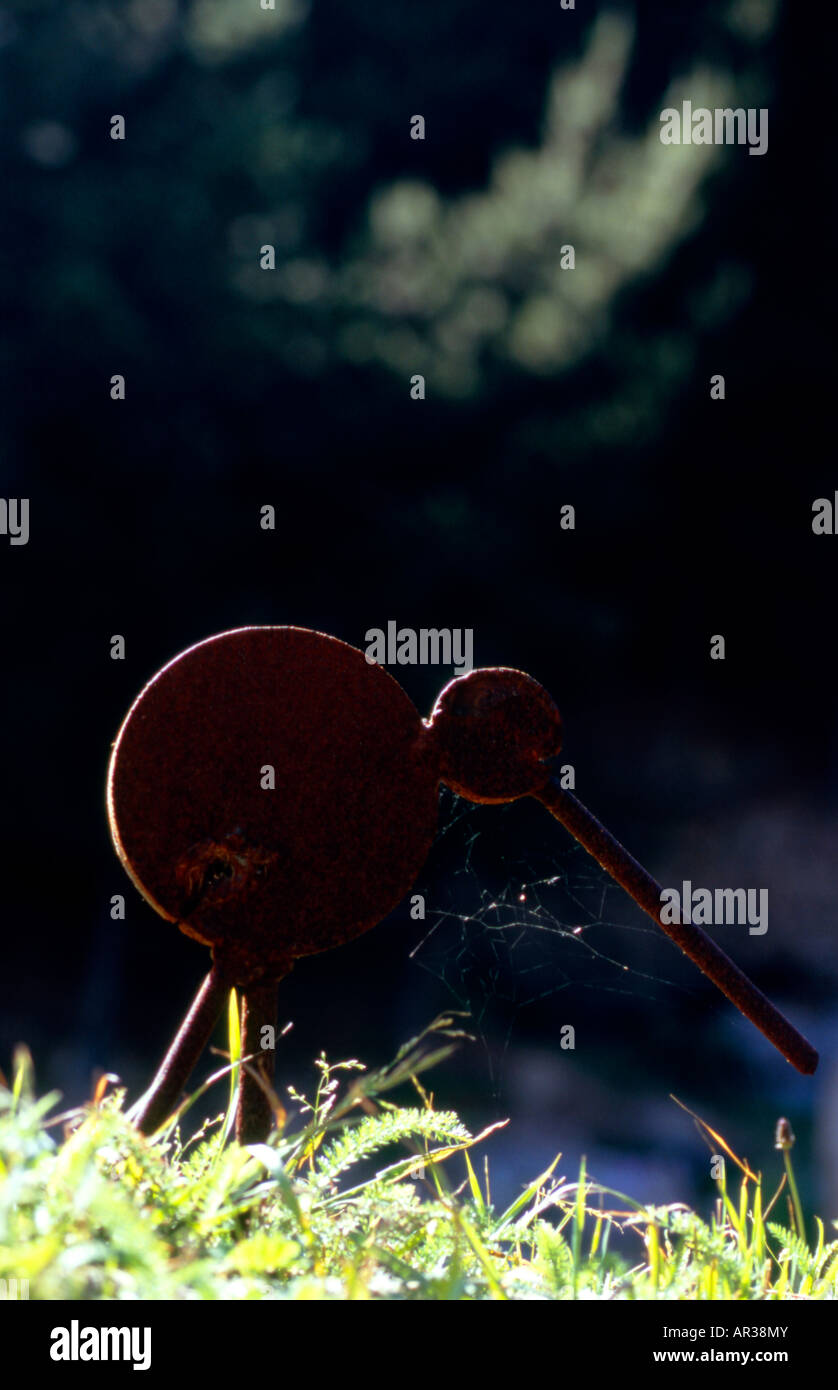 Ferro da stiro in miniatura kiwi creato da Carl Gifford, Wellington, Nuova Zelanda Foto Stock