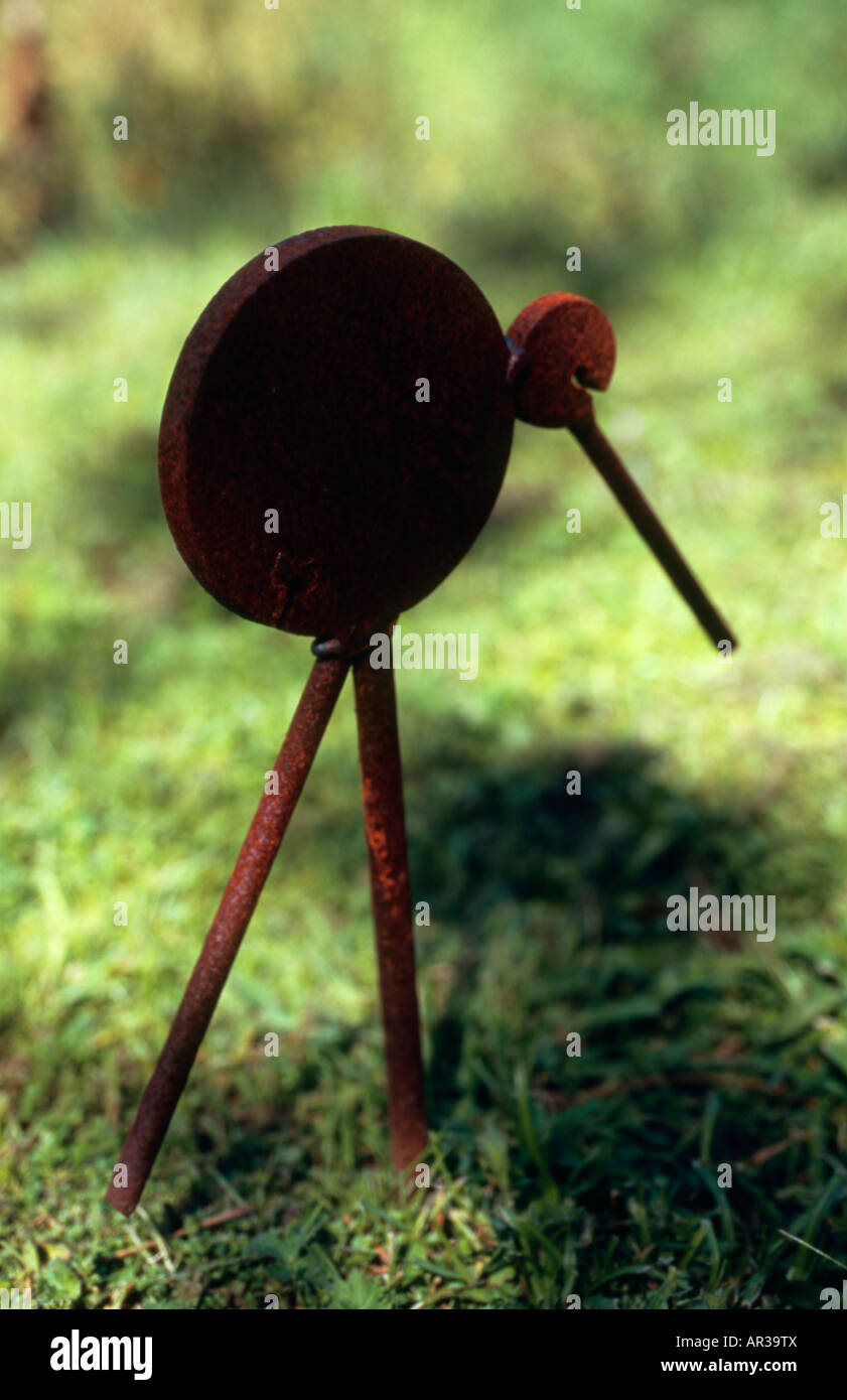 Miniatura di kiwi ferro da Carl Gifford, Wellington, Nuova Zelanda Foto Stock
