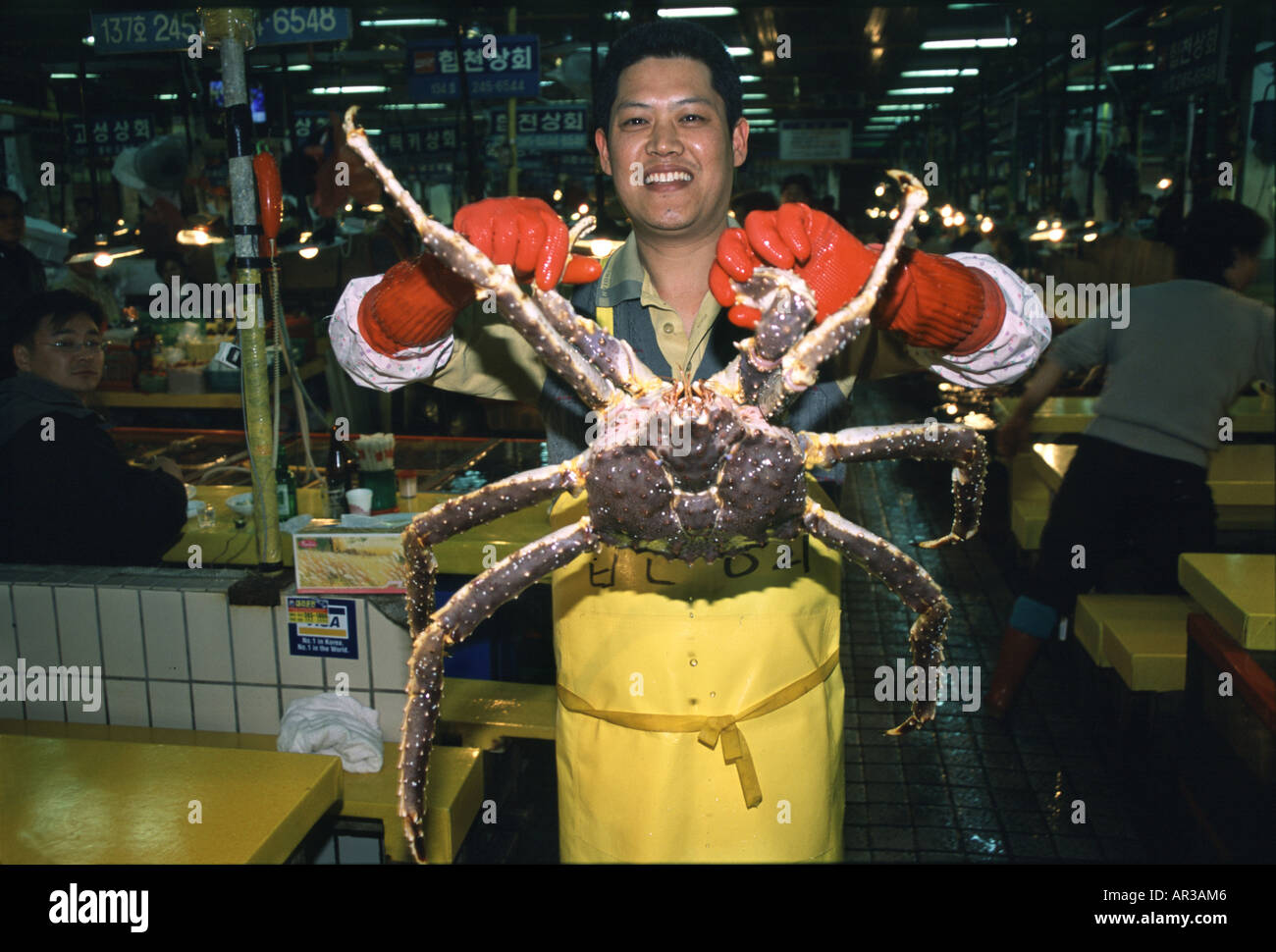 Uomo a Chagalchi mercato di frutti di mare che mostra un ragno granchio, Busan, Corea del Sud, Asia Foto Stock