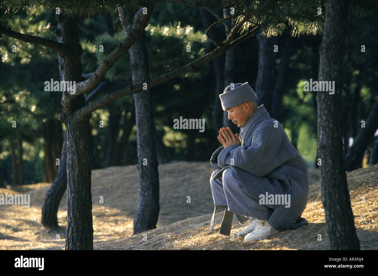 Monaco pregando in mezzo di alberi, Haeundae, Busan, Corea del Sud, Asia Foto Stock