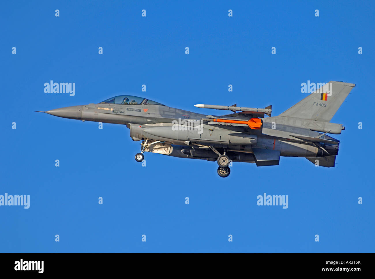 Aviazione belga F-16A Smaldeel (2 Wg) Florennes Serial Reg FA-103 Foto Stock