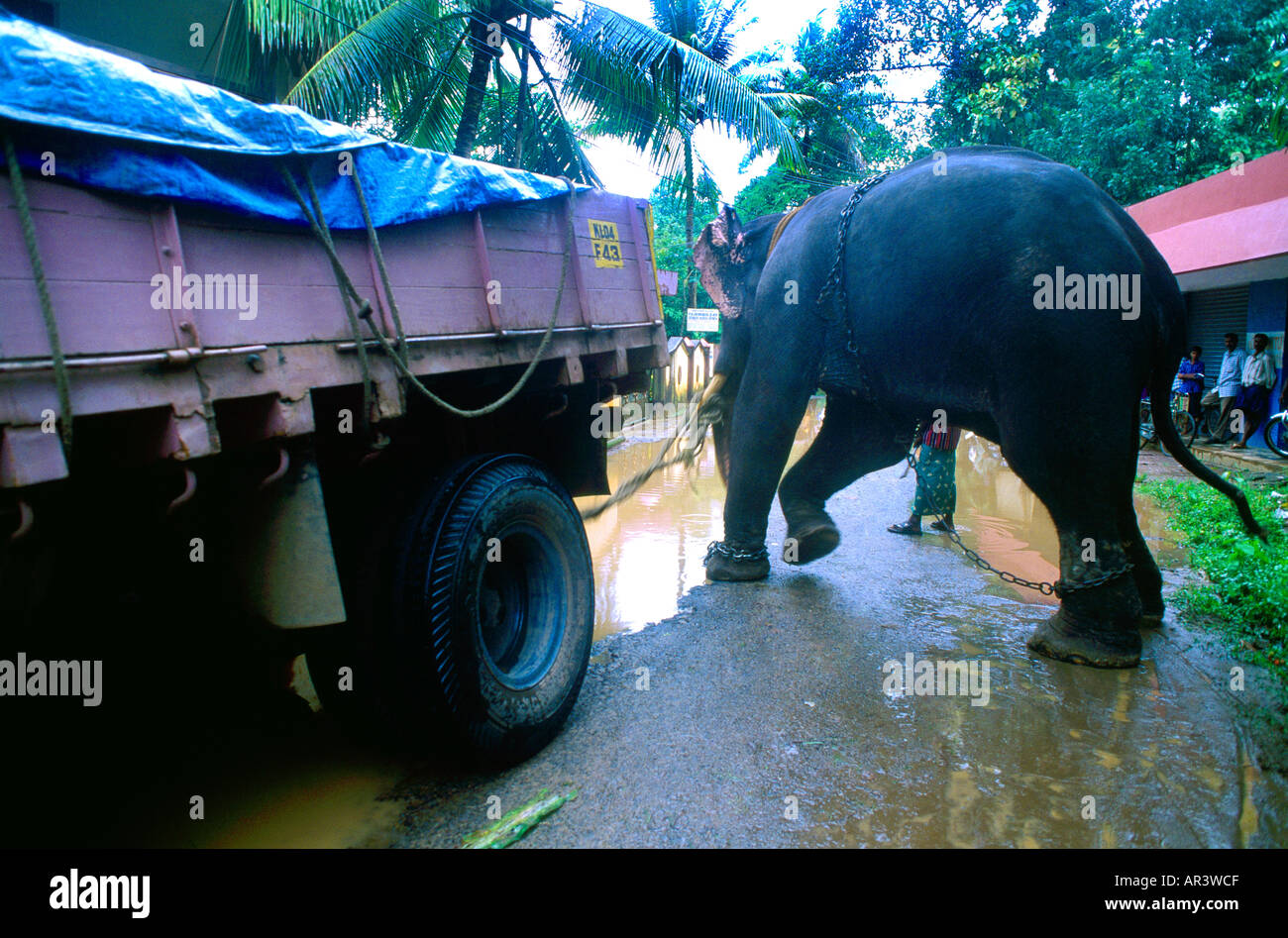 Il Kerala India incidente stradale - Elephant tirando il carrello al di fuori di un foro Foto Stock