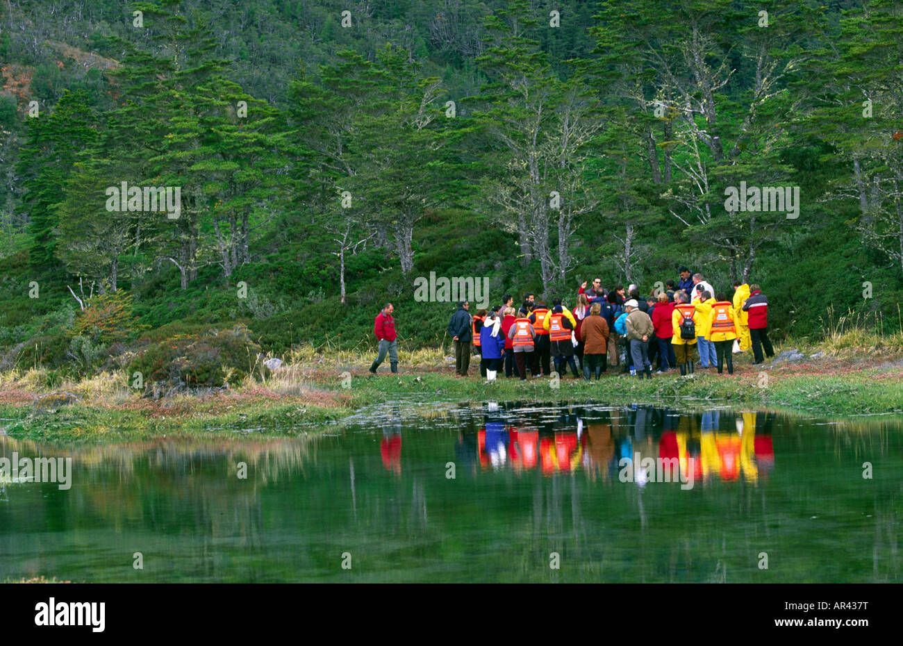 Passeggeri a terra a piedi del Cile meridionale Foto Stock