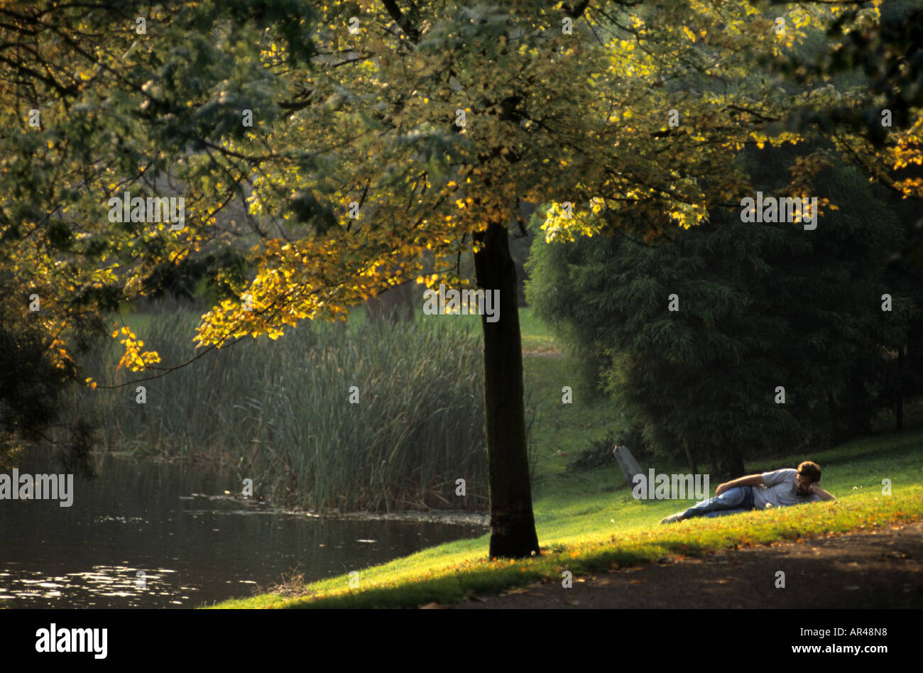 Plantsoen Leiden Singel parco di alberi ad albero resto riposo tranquillo verde tranquillità mente calma Foto Stock